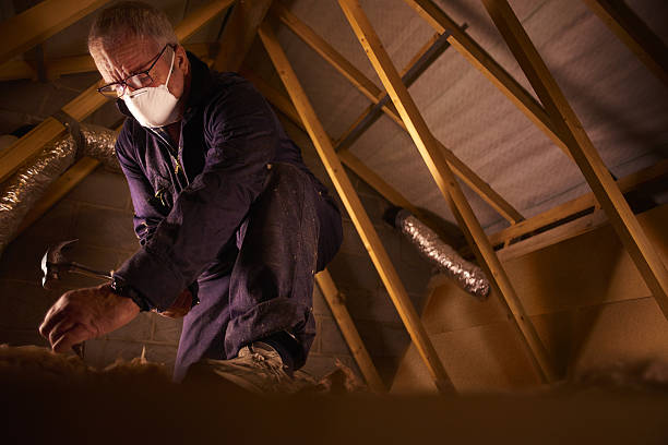Best Specialty Insulation in Fort Meade, MD